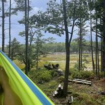 hammock view of the water