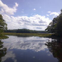 The view from the dock in the middle of campus