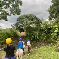 Horse Riding