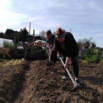 Permaculture