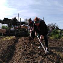Permaculture