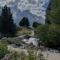 "Le Jardin du Lautaret" ... a Botanical Garden on the outskirts of Grenoble 