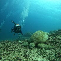 Photo with the turtle I identified and named!