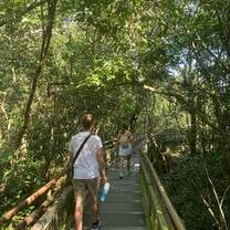 The jungle in Iguazú