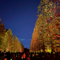 The lights at Shinjuku Park.