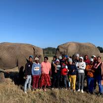 Visiting Knysna Elephant Park