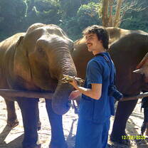 Feeding the elephants! 
