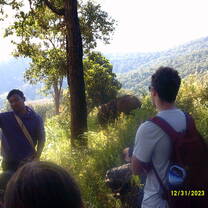 seeing elephants in their natural habitat! 