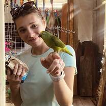 Beautiful bird in the Amazon!