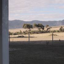 The daily view