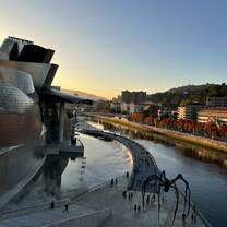Guggenheim and Univeristy of Deusto along the river