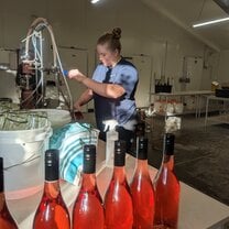 2023 Pinot Noir Rose