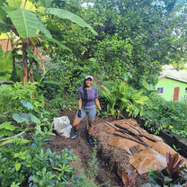 Building a home gardem