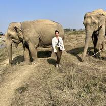 Elephant Conservation Project