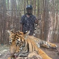Petting a tiger in Thailand.