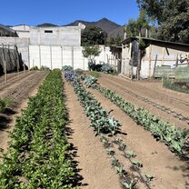 Helping with Eco Agriculture 