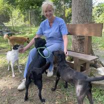 Playing with the rescue dogs