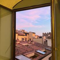 My morning view from bed!