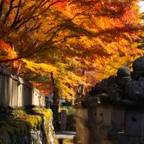 Japan is beautiful in the fall!