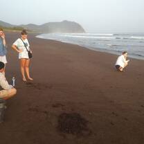 Turtle release Camaronal Costa Rica 
