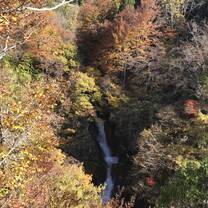 Japan is a beautiful country.