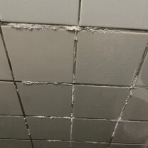 mold in the bathrooms