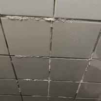 mold in the bathrooms
