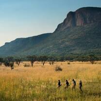 Bushwalk 
