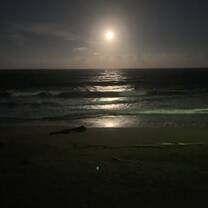 The moon-lit sea