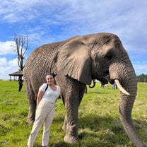 Meeting some elephants up close in Garden Route, South Africa!