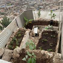 Newly planted community garden