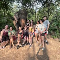 Visiting the elephant sanctuary 