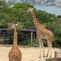 A zoo with a view!