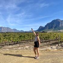 Cape Winelands