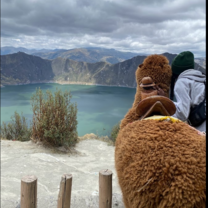 Adventures with Alpacas