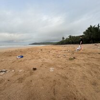 Beach clean-up