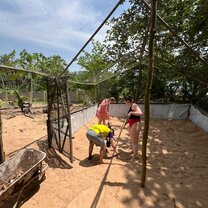 Work at the hatchery