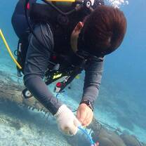 Coral Planting Day