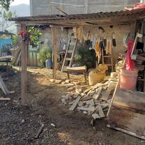 Life in the village