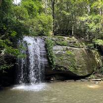 Buderim Forest Park