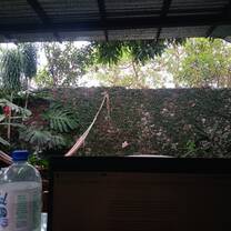 My view as I worked on my lesson plans