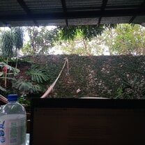 My view as I worked on my lesson plans