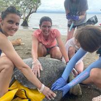 Turtle Time