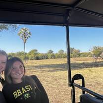 Giraffes on game drive 