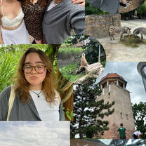 Halle zoo 