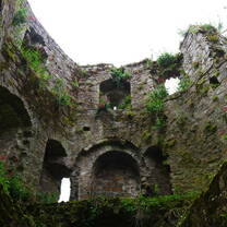 Trim Castle