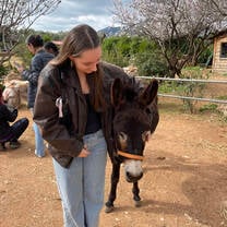 Visiting a donkey sanctuary as one of CYA's de-stress activities during midterms!