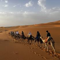 Sahara!