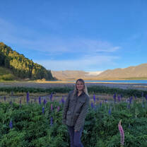 Lake Tekapo Lupines