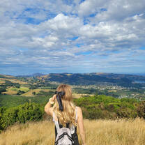 Dunedin lookout